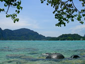 หาดยาว เกาะพีพีดอน หมู่เกาะพีพี จ.กระบี่ 